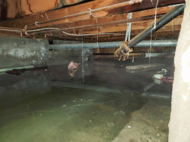 Local water damage restoration in AZ