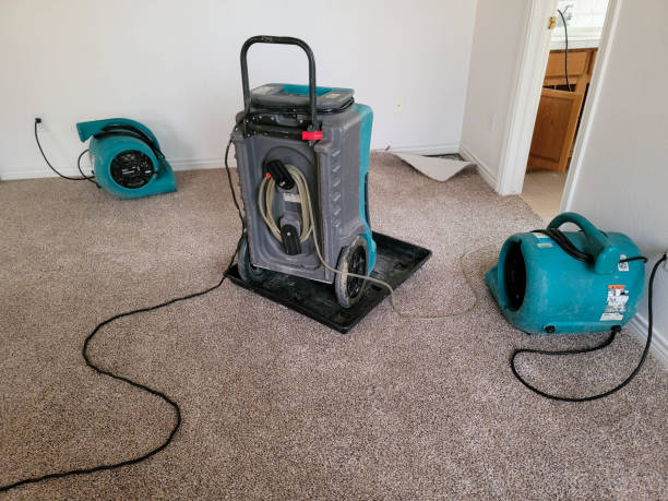 Best Water damage contractors near me  in Rio Rico, AZ