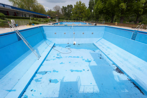 Best Flood restoration services  in Rio Rico, AZ