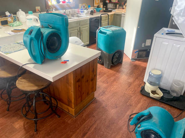 Best Emergency water damage restoration  in Rio Rico, AZ
