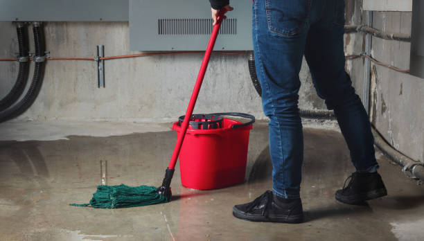 Best Emergency water damage restoration  in Rio Rico, AZ