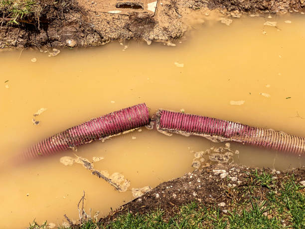 Best 24/7 water damage repair  in Rio Rico, AZ