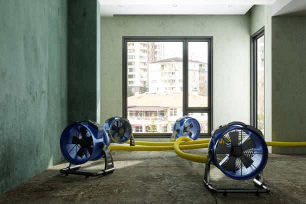 Best Fire Damage Restoration  in Rio Rico, AZ