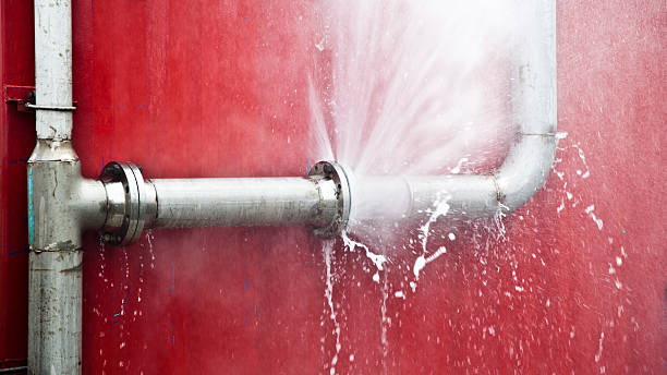 Best Flood damage cleanup  in Rio Rico, AZ